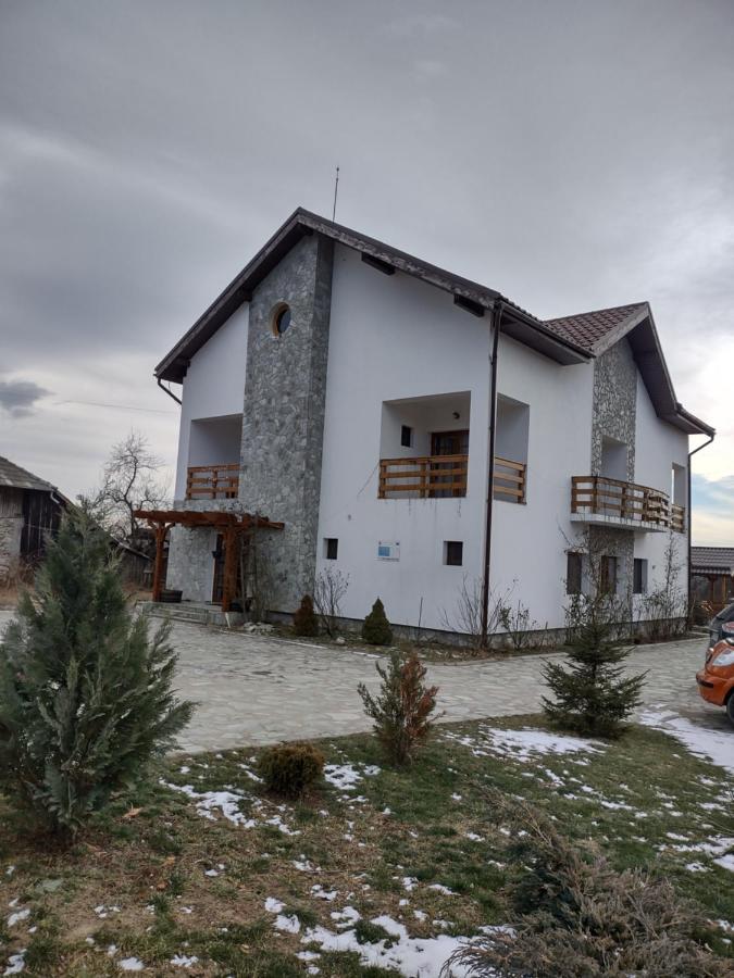 Pensiunea Codruta Carpinisu ภายนอก รูปภาพ