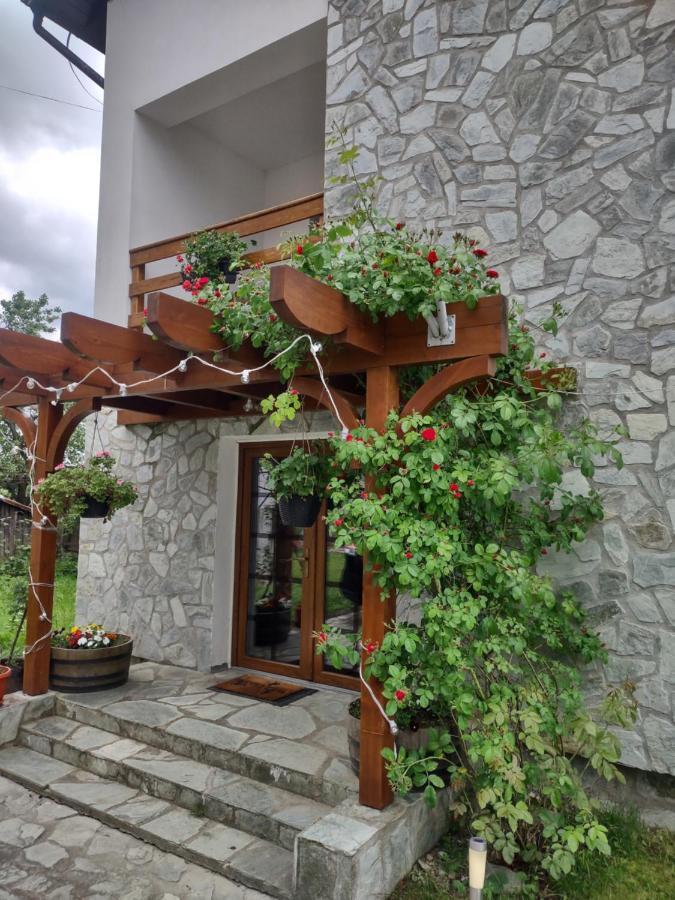 Pensiunea Codruta Carpinisu ภายนอก รูปภาพ