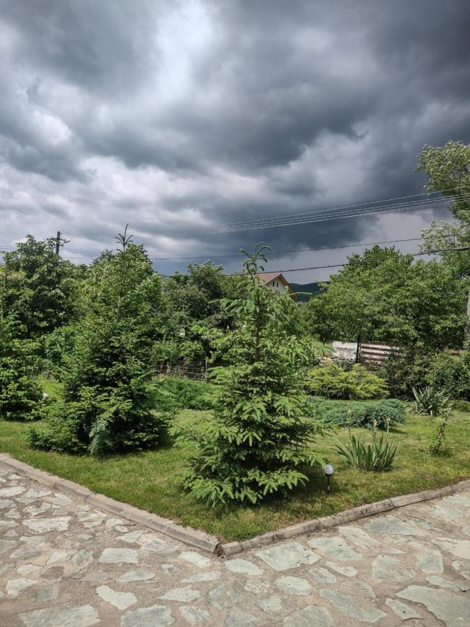 Pensiunea Codruta Carpinisu ภายนอก รูปภาพ