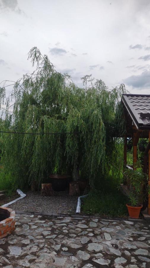 Pensiunea Codruta Carpinisu ภายนอก รูปภาพ
