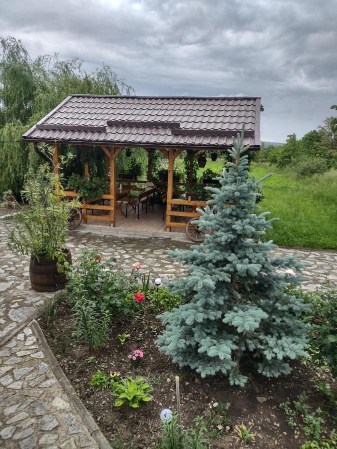 Pensiunea Codruta Carpinisu ภายนอก รูปภาพ