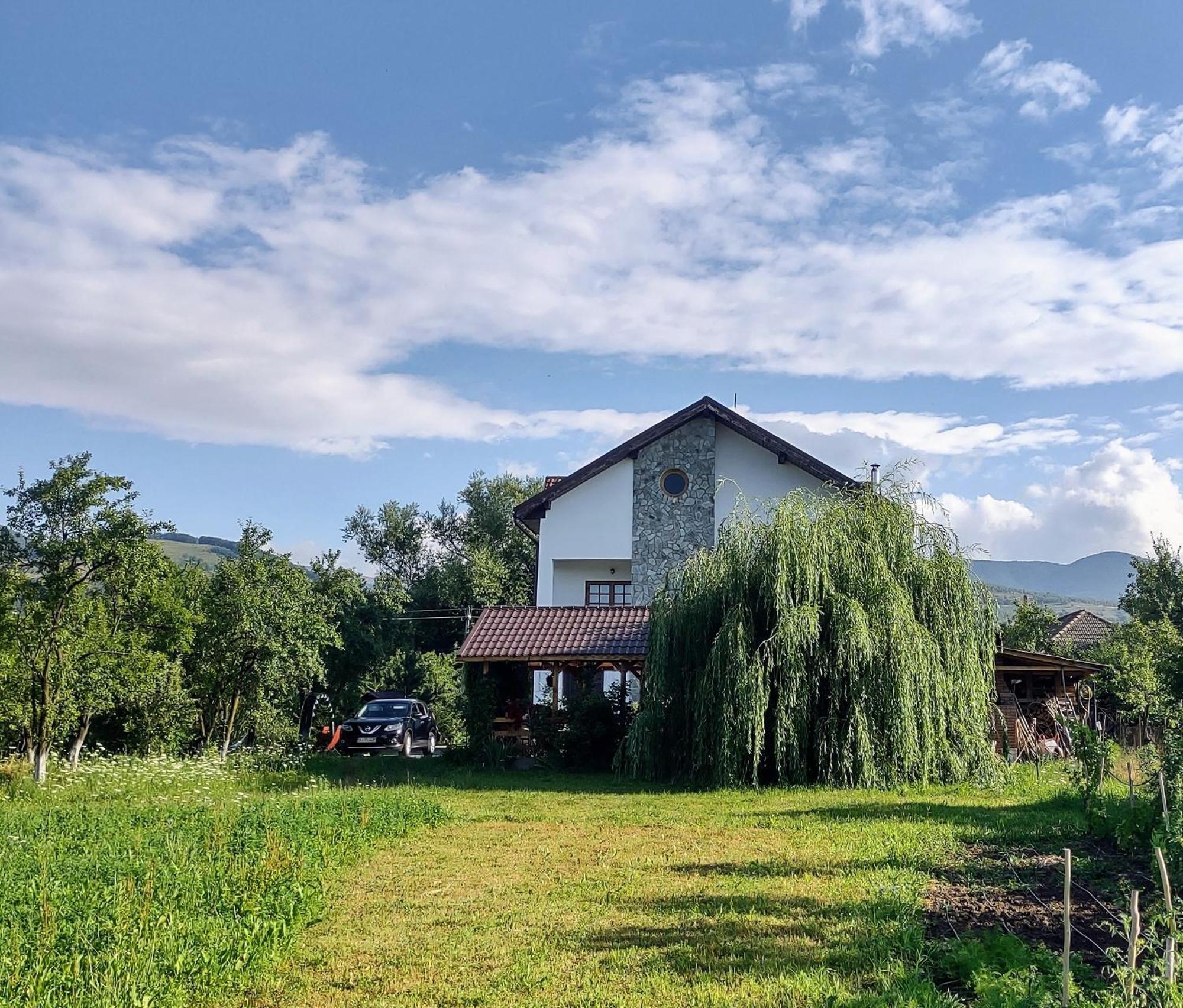 Pensiunea Codruta Carpinisu ภายนอก รูปภาพ