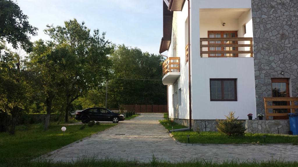 Pensiunea Codruta Carpinisu ภายนอก รูปภาพ