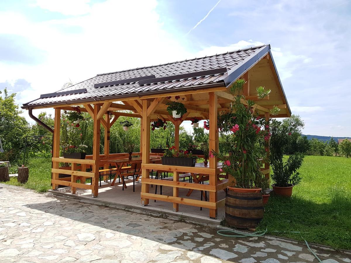 Pensiunea Codruta Carpinisu ภายนอก รูปภาพ